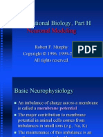 basic neurophysiology