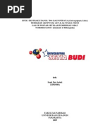 Download Skripsi Santi Dwi Astuti 11051968 A by Hadi Nur Icshan SN123730812 doc pdf