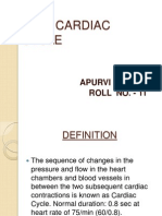 Cardiac Cycle