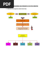Mikroorganisma Dan Kesannya Ke Atas Hidupan