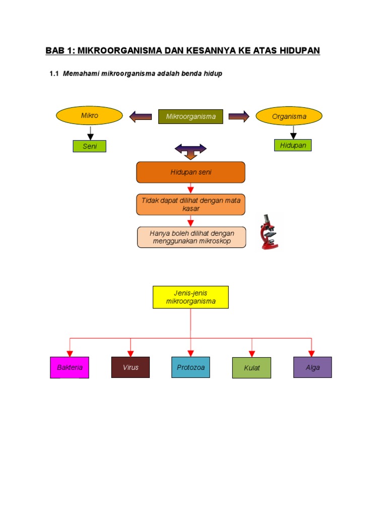 MIKROORGANISMA DAN KESANNYA KE ATAS HIDUPAN