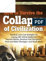 Collapse of Civilization