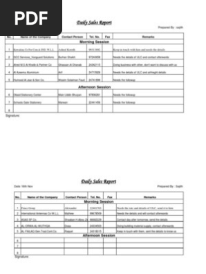 Sales Report Sample - Daily Sales Report