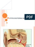 Otitis Eksterna Difus