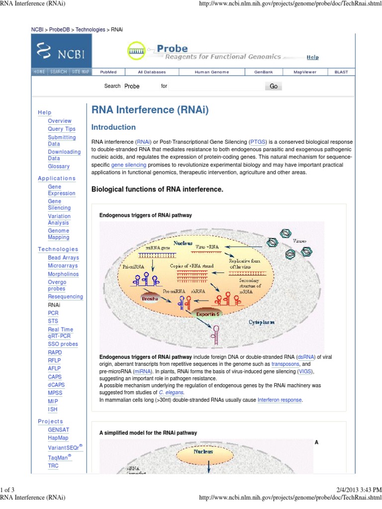 RNA Interference (RNAi) | PDF