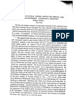 STABLEIN Ceremonial Medicine PDF