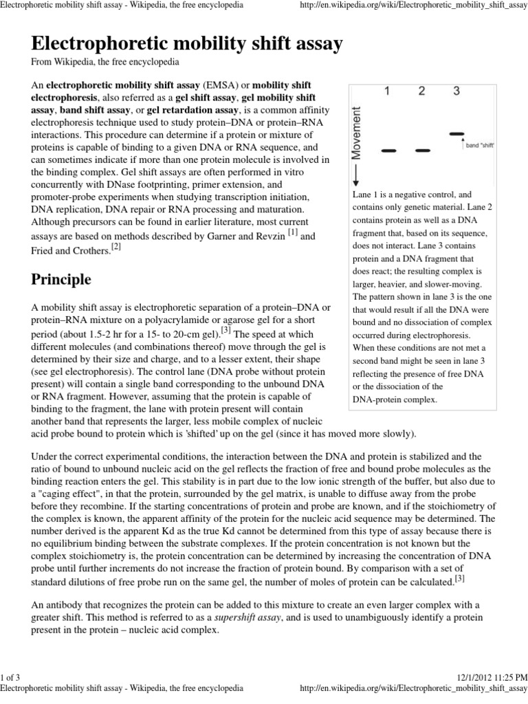 Electrophoretic Mobility Shift Assay - Wikipedia, The Free Encyclopedia ...