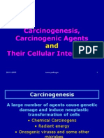 Carcinogenesis Cqrcinogenic Agents 2010