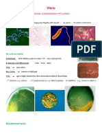 Vibrio PDF