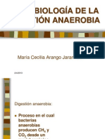 anaerobiosis.ppt