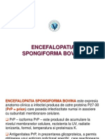 Encefalopatia Spongiforma Bovina