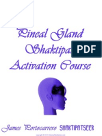 Pineal Gland Shaktipat Activation Course Ebook PDF