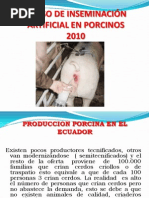 Produccion Porcina en El Ecuador
