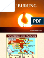 Flu burung