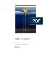 Riser Design Project Report