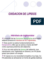 Oxidación de lípidos: β-oxidación, peroxisomas y más