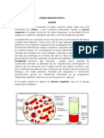 Sistema Hematopoyetico