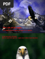 Download The Life of an Eagle by Saajid Amin Bhat SN12391556 doc pdf