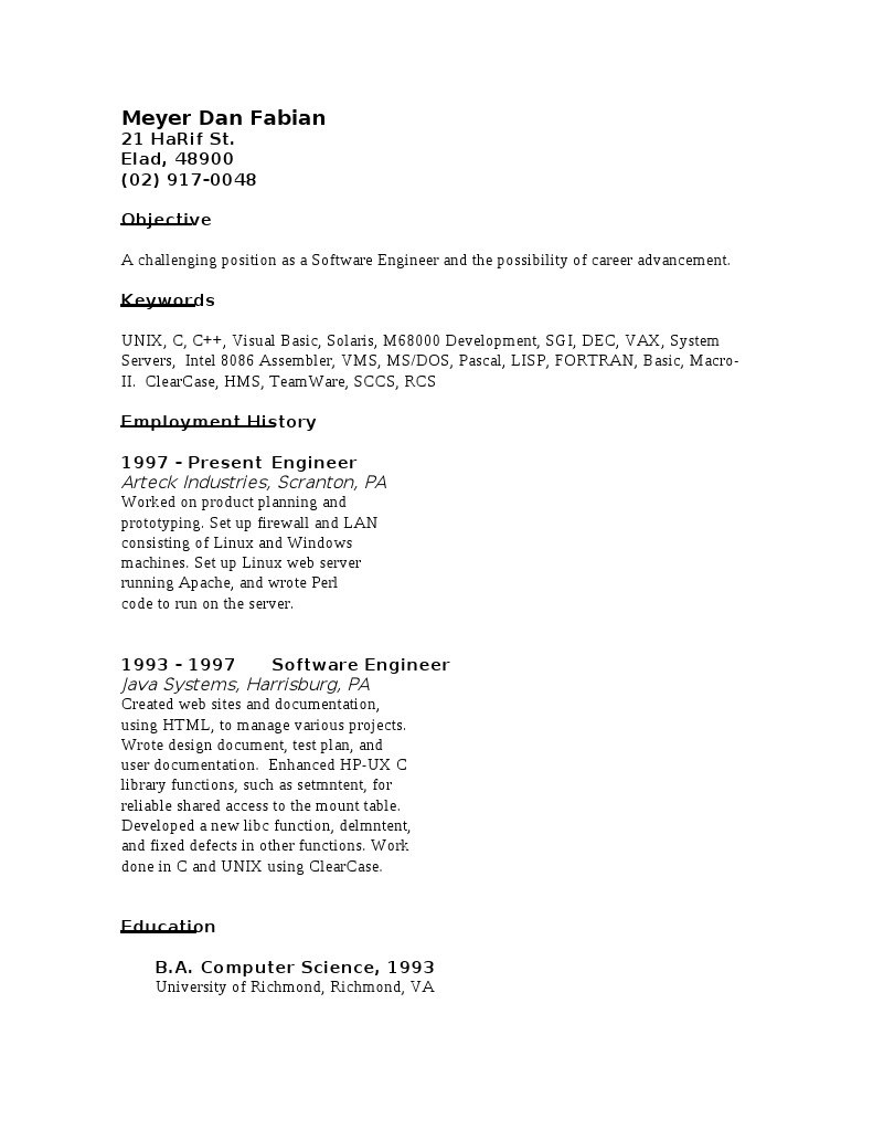 Software Engineer Career Profile | PDF | Art | Technology & Engineering