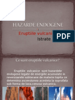 Hazarde Endogene