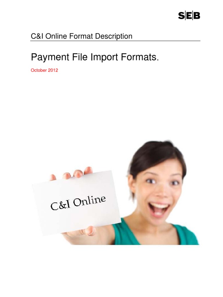 C&I Online Format Description | PDF | Debits And Credits | Financial ...