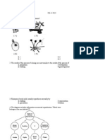 Which Diagram Represents Binary Fission?: Asexual Reproduction Feb. 5, 2013 Mrs. Mente