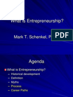What is Entrepreneurship