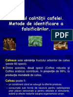 Controlul Calitatii Cafelei - Metode de Identificare A Falsificarilor