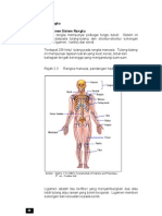Sains Sukan-Rangka PDF