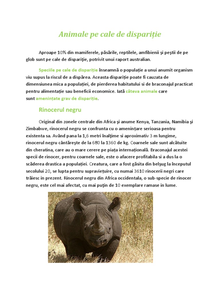 Animale Pe Cale De Disparitie Referat