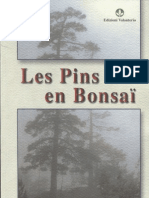 Les Pins en Bonsai- French