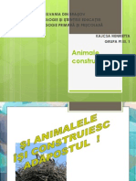 Animal e