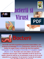 Bacterii Si Virusi