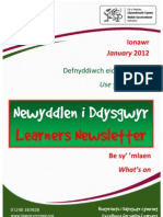 Newyddlen I Ddysgwyr Chwefror 2013