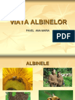 Viataa albinelor 2