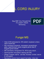 Spinal Cord Injury