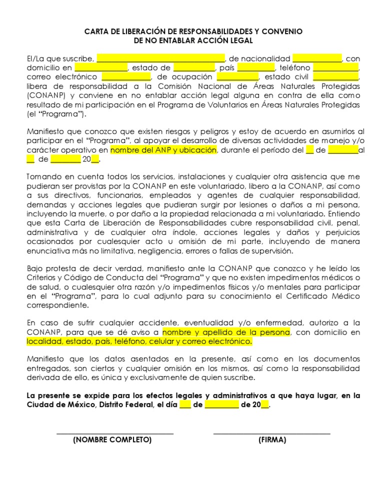 FORMATO 3 Carta Liberacion de Responsabilidades 2012.docx