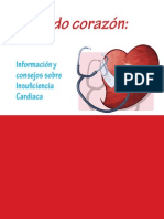 Guia Informativa Insuficiencia Cardiaca