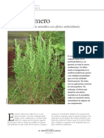 Romero Antioxidante PDF