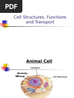 Organelles