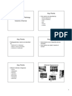 Key Points: Introduction To Oral Pathology and Variants of Normal