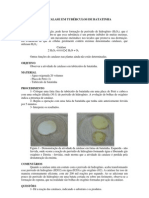 Atividade de Catalase em Tubérculos de Batatinha