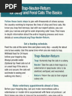 Trap-Neuter-Return Feral Cats