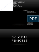 Ciclo Da Pentose