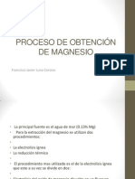 Proceso de Obtención de Magnesio