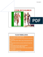 Sistem Integumen.pdf