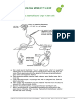 Osmosis in Cells