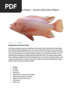 Download ikan talapia by Jay Irwine SN124115356 doc pdf