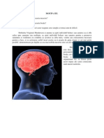 Accidentul Vascular Cerebral