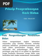 Download Prinsip Pengembangan Karir Bidan by yo2_laxana SN124118821 doc pdf